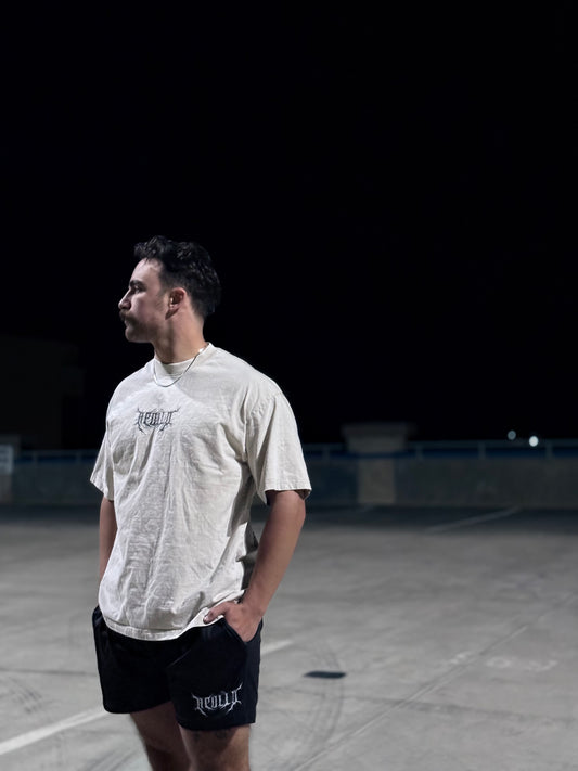 Samurai Shirt